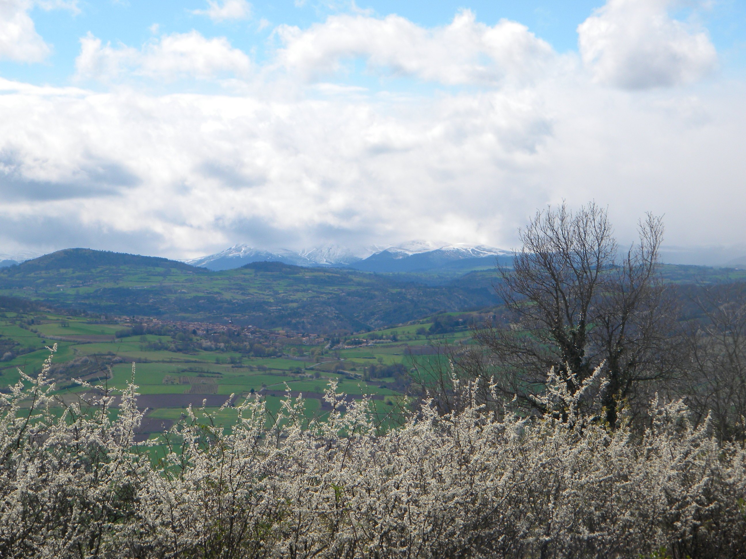 Location Jeux en Bois auvergne